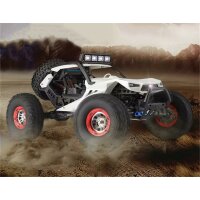 WL Toys 12429 1:12 2,4GHz Desert Racer